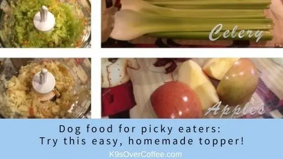 Dog food for picky eaters/ Try this easy, homemade topper!