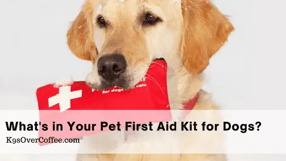 What's in your pet first aid kit for dogs?