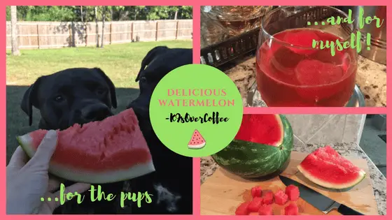 Delicious Watermelon For The Pups & For Myself