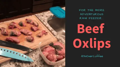 For The More Adventurous Raw Feeder - Beef Oxlips