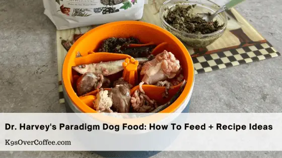How to feed Dr. Harvey's Paradigm dog food along with recipe ideas