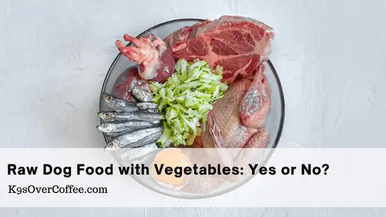 Raw dog food with vegetables - yes or no?
