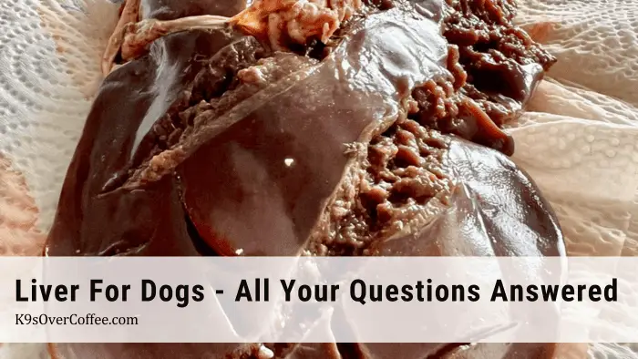 Raw liver for dogs on kitchen towels