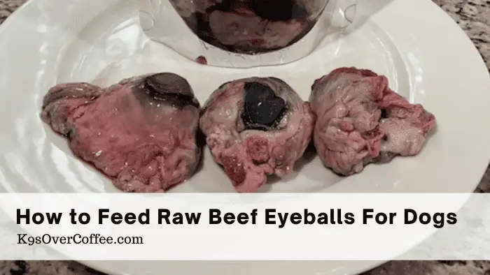 Raw beef eyeballs for dogs on a plate