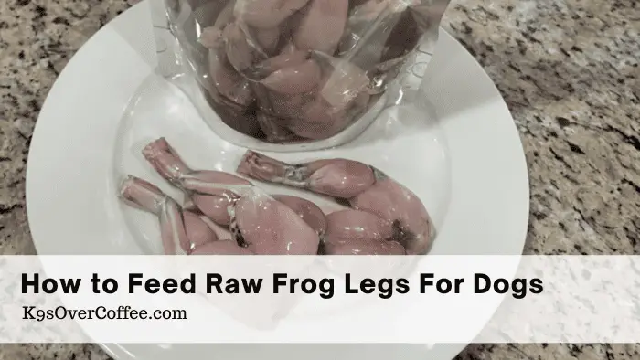 Raw frog legs for dogs on a plate on a kitchen counter