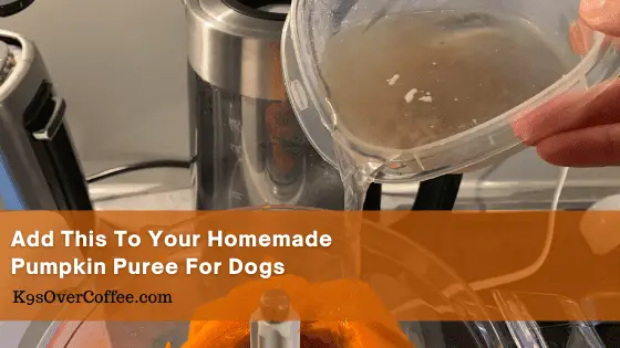 Add this to your homemade pumpkin puree for dogs