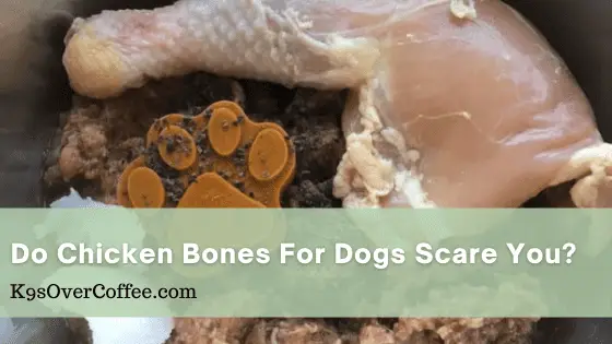 Do Chicken Bones for Dogs Scare You?
