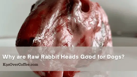 Why are raw rabbit heads good for dogs?