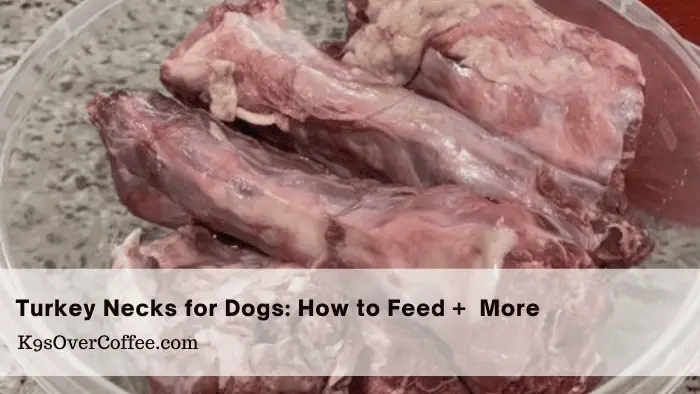 Raw turkey necks for dogs in a clear food storage container without a lid