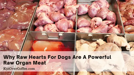 Why raw hearts for dogs are a powerful raw organ meat