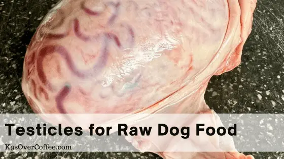 Testicles for raw dog food