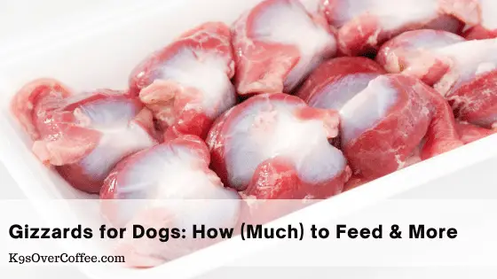 Raw chicken gizzards prepared for homemade raw dog food