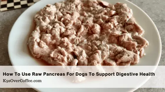 How To Use Raw Pancreas For Dogs To Support Digestive Health