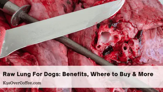 Raw lung for dogs: Benefits, where to buy and more