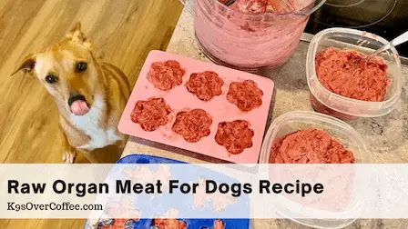 Raw organ meat for dogs recipe