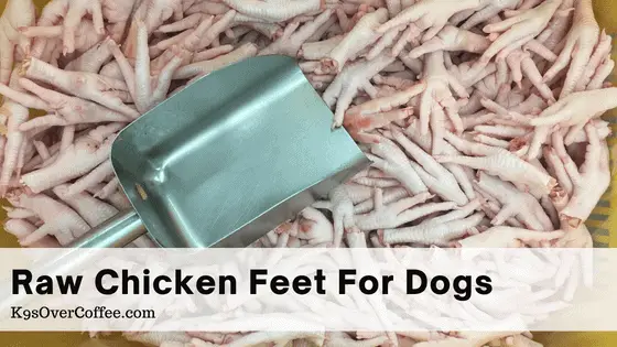 Raw chicken feet for dogs