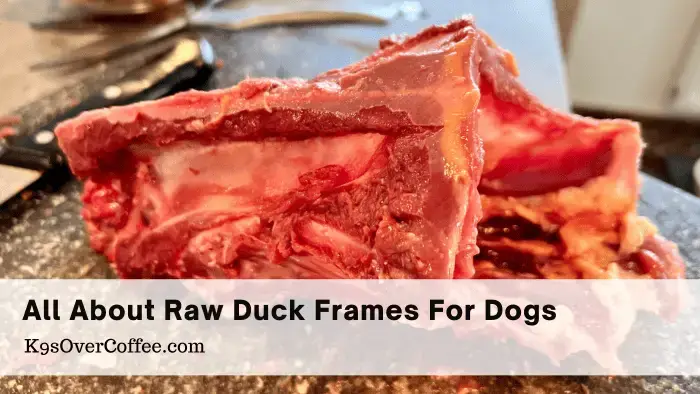 A raw duck carcass for dogs