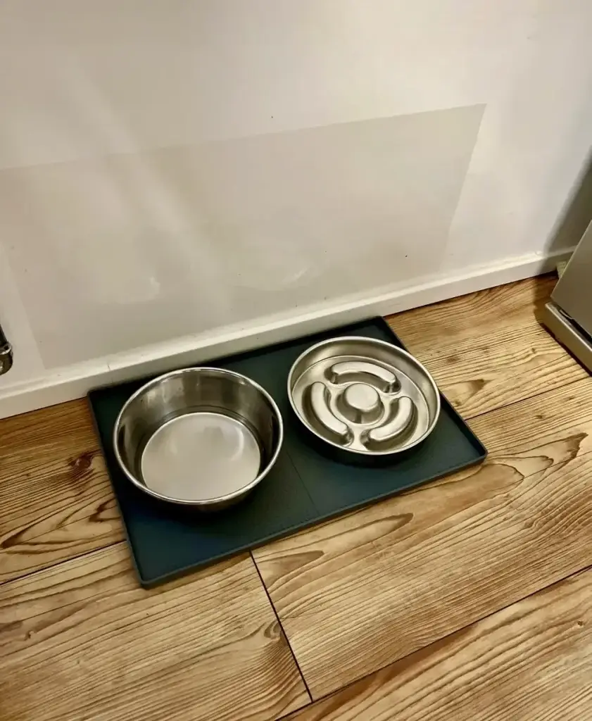 Labrador puppy feeding station with stainless steel water bowl and slow feeder on a silicone mat, wall cover for splash protection