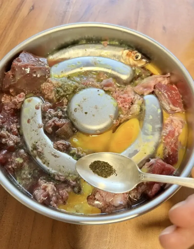 Raw feeding meal for Labrador puppy with ground meat, organs, herring, egg yolk, and kelp powder on a spoon