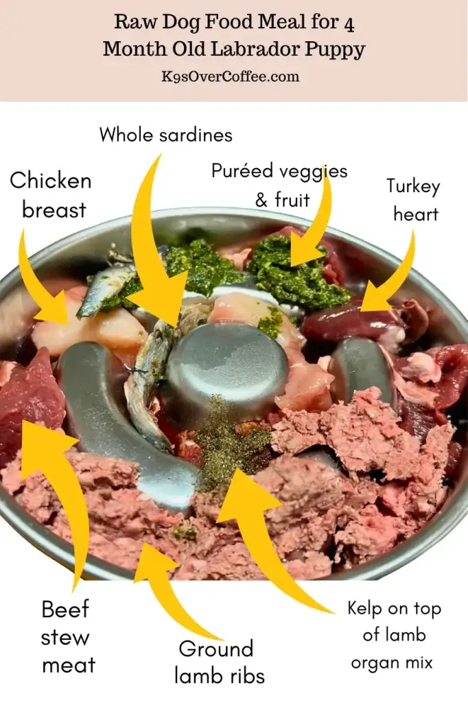Stainless steel slow feeder filled with raw dog food for a 4 month old Labrador puppy - labeled ingredients include beef stew meat, chicken breast, turkey heart, ground lamb ribs, lamb organ mix with kelp, whole sardines, and pureed veggies & fruit