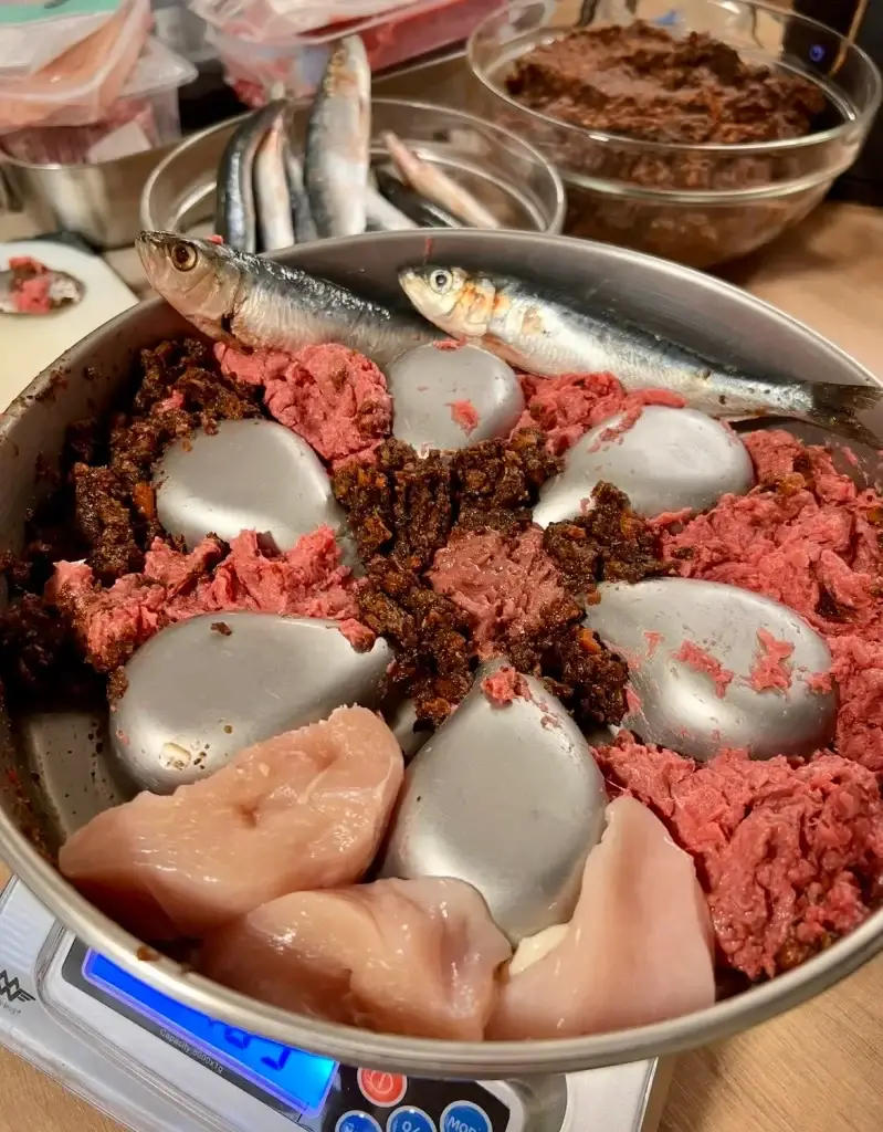 Stainless steel slow feeder bowl filled with chicken breast, beef blend, sardines and pureed plant matter for a Young Labrador dog.