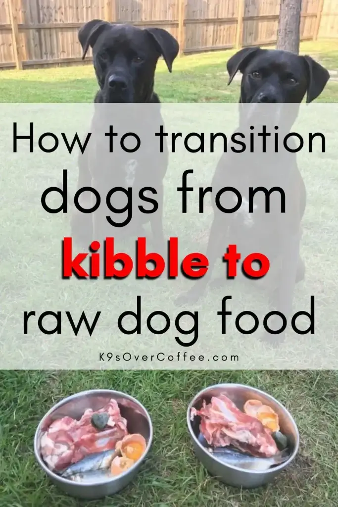 Two black Boxer-Labrador dogs sitting on grass in front of two stainless steel bowls filled with raw dog food including meat, fish, and vegetables
