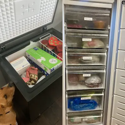 Chest and upright freezers for storing raw dog food
