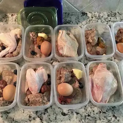 Stackable storage containers for raw dog food